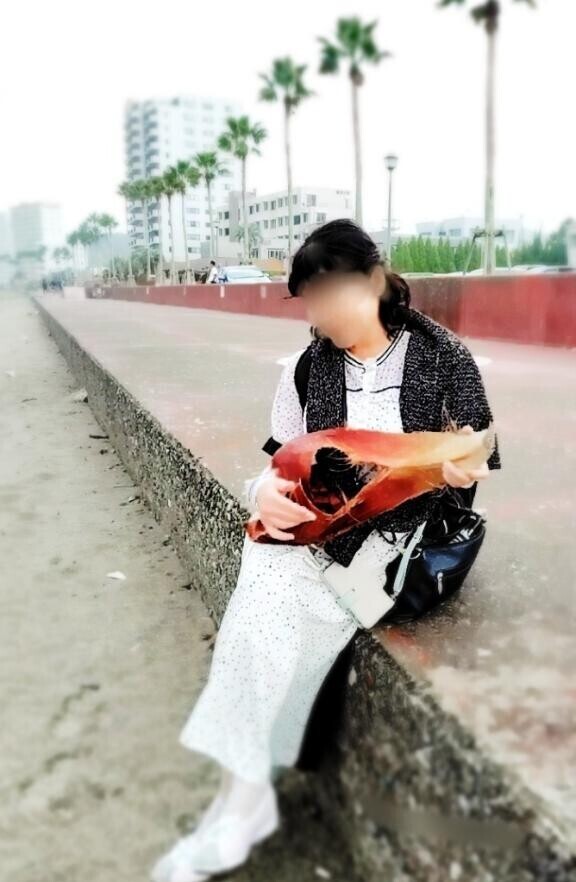 東京駅から特急わかしお号に乗り、駅弁と車窓から見える太平洋の海にはしゃぎ、異国情緒たっぷりな異空間への旅がスタートしましたーーーっ！暫し、お付き合いのほどよろしくお願いいたします………m(_ _)m