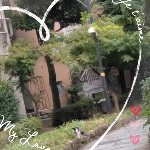 ありがとうございました