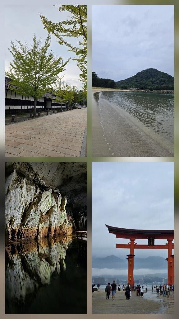 明日出勤致します