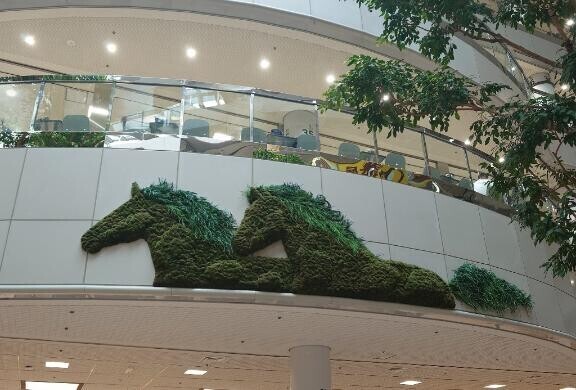 ７日(火)のありがとう