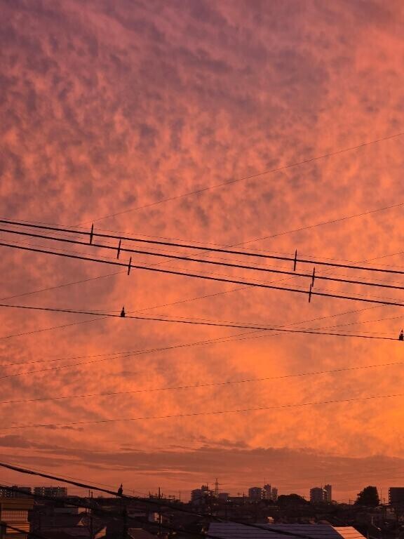 ありがとうございました(*^^*)