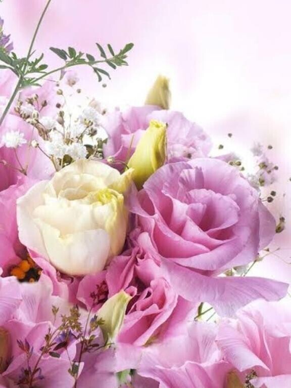 本指名《Ｓ様》ありがとうございます