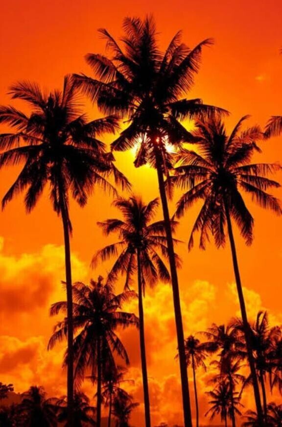 10/18  thank's diary(^^)