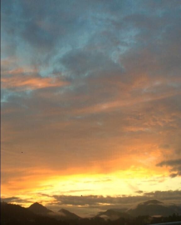 お疲れ様です??('ω')??