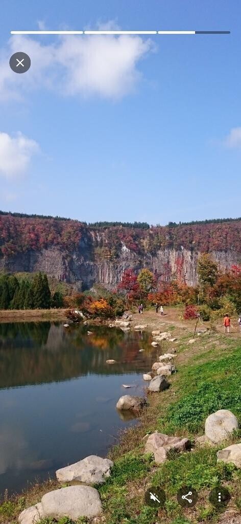 明日、出勤致します
