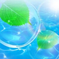 お誘い頂きましてありがとうございます