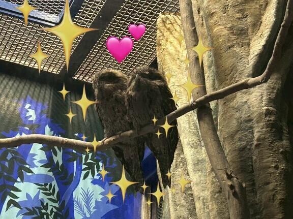 エロスはどこに...?