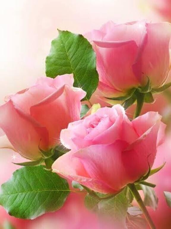 お誘い頂きましてありがとうございます