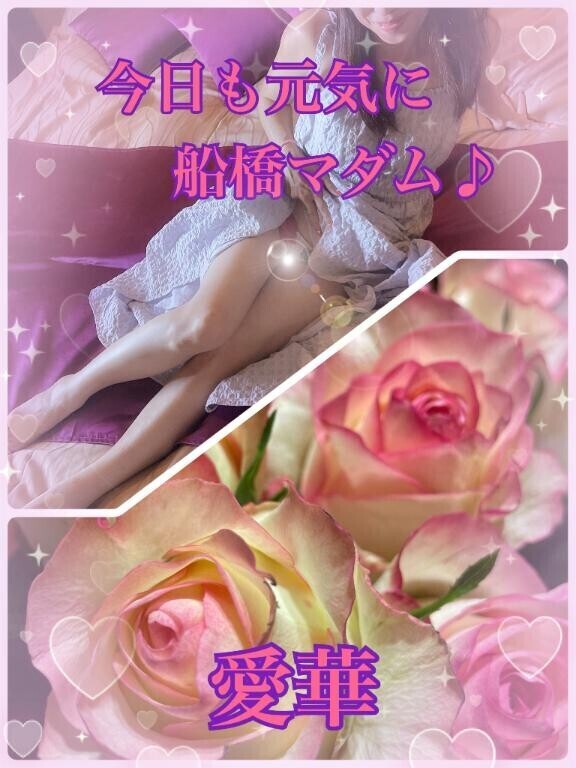 今日も元気に船橋マダム♪