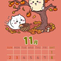 10月のお礼ですm(_ _)m