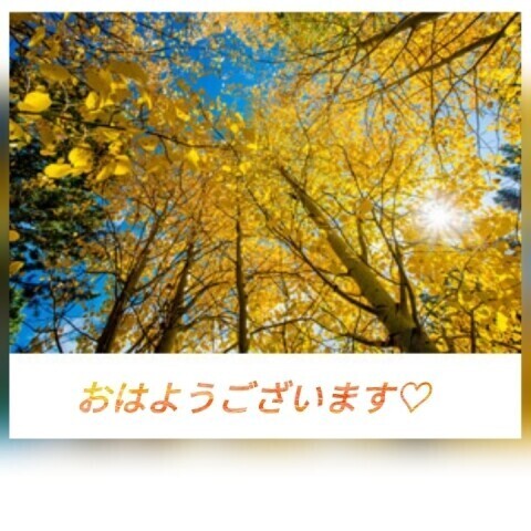 おはようございます