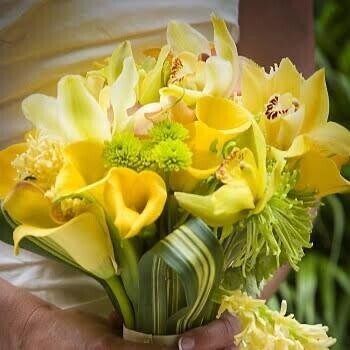 お誘い頂きましてありがとうございます