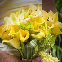 お誘い頂きましてありがとうございます