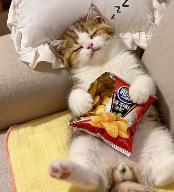 《こんばんは》