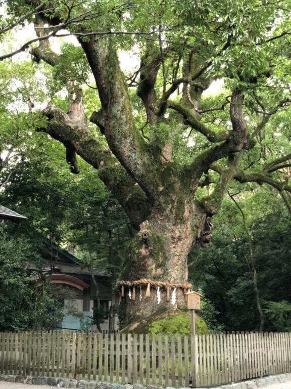 明日出勤します