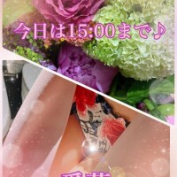 今日は15:00まで♪