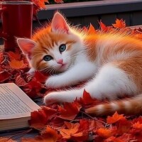 《こんにちは》