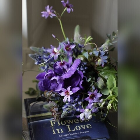 おはようございます♪