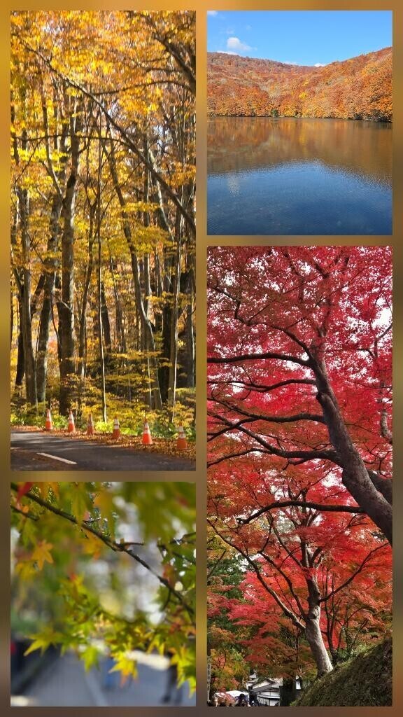 明日出勤致します