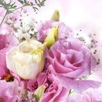 お誘い頂きましてありがとうございます