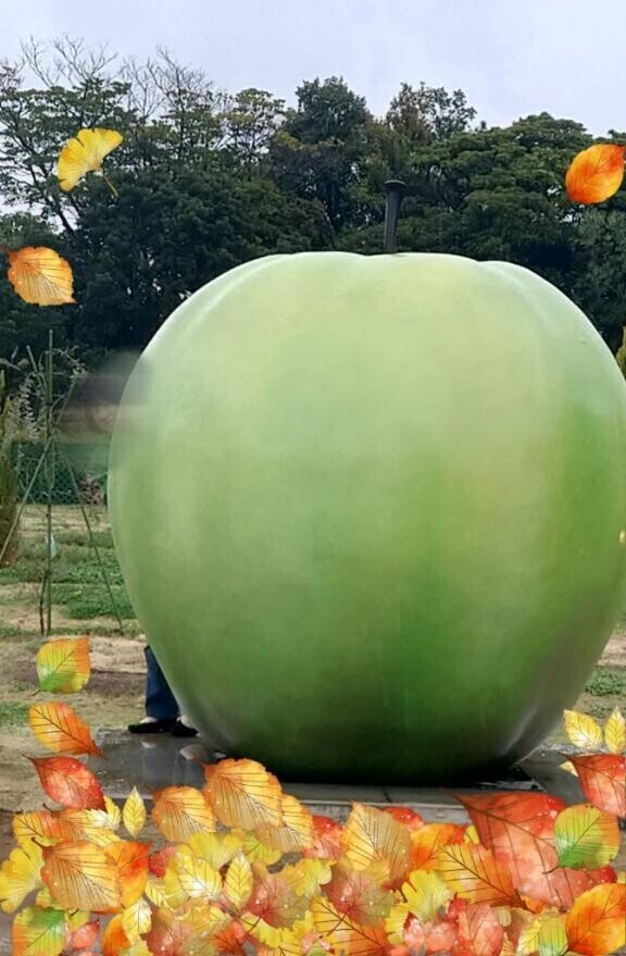 １６日、日曜日出勤予定。ひょっこり写真