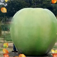 １６日、日曜日出勤予定。ひょっこり写真