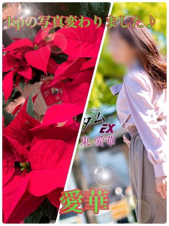 hpの写真変わりました♪