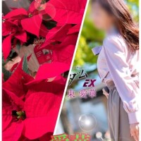 hpの写真変わりました♪