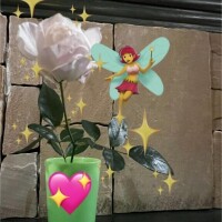 本指名のKさんありがとうございました