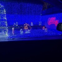 お久しぶりです