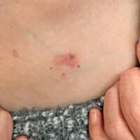 今日はお休みです～