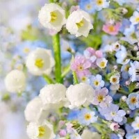 お誘い頂きましてありがとうございます