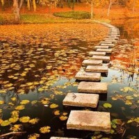 おはようございます(o^^o)