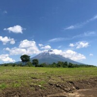 ありがとうございます