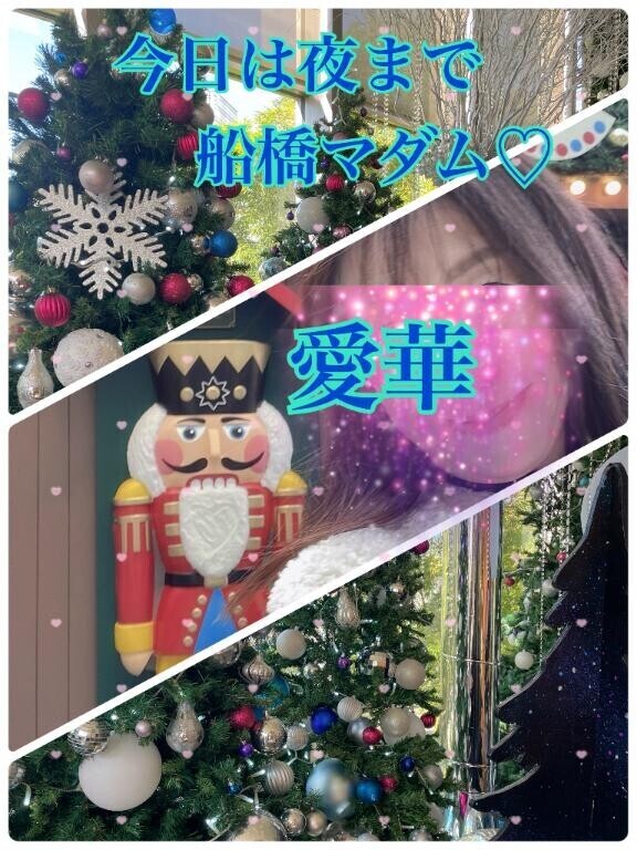 今日は夜まで船橋マダム?