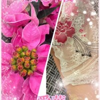 今日は午後～♪