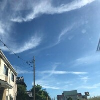 あちゃー?(゜Д゜)