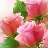 お誘い頂きましてありがとうございます