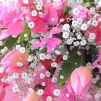 お誘い頂きましてありがとうございます