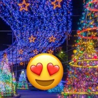 クリスマスパーティー?