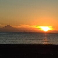 明日はお休みします