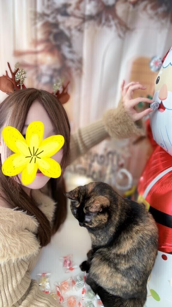 クリスマス前のラブストーリー?