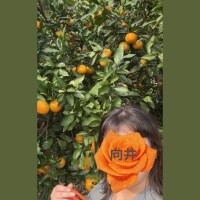 免疫力をあげて