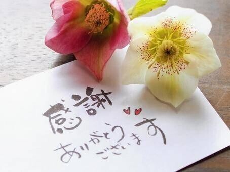 今日のお礼です