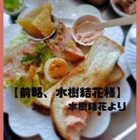 新コーナー『前略、息子殿』に次ぐ新コーナー『前略、水樹結花様』……今日、お会いした◯◯様がひたすら『エロい…』と連呼したことから生まれた秘話を含めて、ハンカチもティッシュの用意も不要の、ただただ今朝の朝ご飯をアップしたいがための【前略、水樹結花様】をどうぞ＼(^o^)／