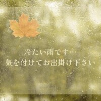 冷たい雨です。