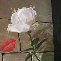 Kさんありがとうございました