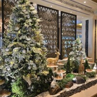 出勤致しました(*^^*)