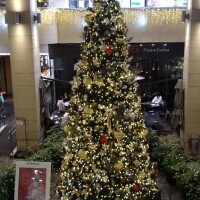 おはようございます♪(^^)