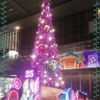 ◇チキン♪◇【半分雑談】